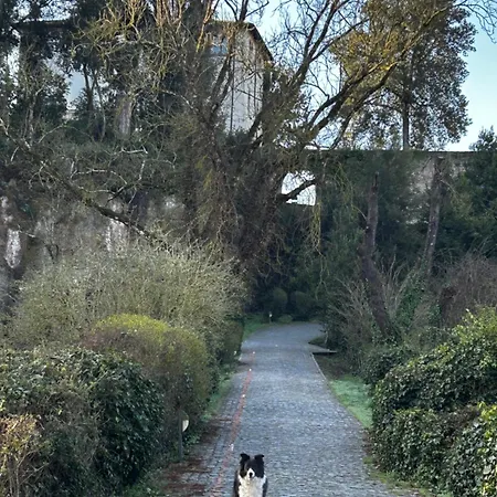 Etruscan Garden *