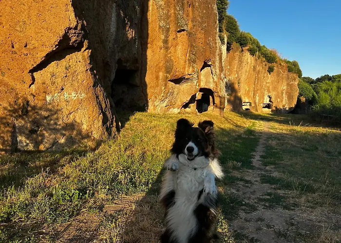 Etruscan Garden Sutri